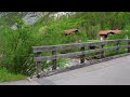 countryside switzerland 🇨🇭 enchanting valley of 72 waterfalls walking tour