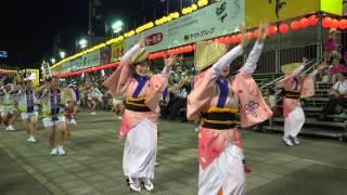 「四国大学」南内町演舞場8月12日1部 徳島阿波おどり2016