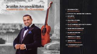 Branko Jovanović Bako - Ognjište | [Official Music Audio]