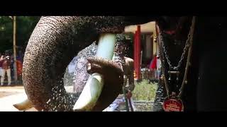 Mayannur Pooram Promo video