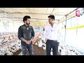 sneha chicken farms varun reddy interview with anchor roshan birdflu sumantv exclusive