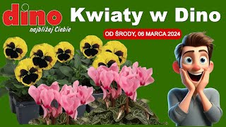 DINO | Nowa Oferta od Środy 06.03.2024 | Kwiaciarnia Dino najbliżej Ciebie