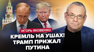 ЯКОВЕНКО: Путін ПЛАЗУЄ перед Трампом – ТРЯСЕТЬСЯ через ціни на НАФТУ. У пропаганди РФ нова ІСТЕРИКА