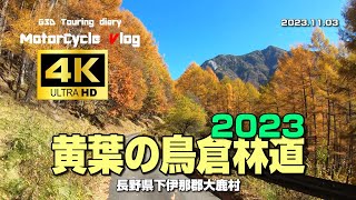 【4K】「黄葉の鳥倉林道」 長野県下伊那郡大鹿村 (バイク走行動画)