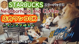 【ﾎﾟﾒﾗﾆｱﾝ】犬も入れるスターバックス★ネイバーフッド カフェ Starbuck's Neighborhood and Coffee where dogs can also enter★