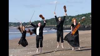 What is a String Quartet? SAINT JOHN STRING QUARTET