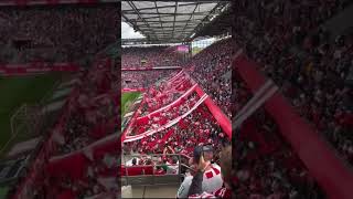1. FC Köln - FC Augsburg #stadium #effzeh #fcaugsburg #fcköln #choreo #choreography #youtubeshorts