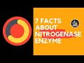 Nitrogenase Enzyme | Nitrogen fixation | Nitrogen Metabolism