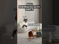 cat memes 🐱grandma my savior part 1 catmemes granny relationship relatable shorts