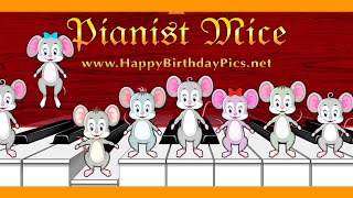 Pianist Mice Are Playing The Happy Birthday Song On The Piano 🎹🎵🎂