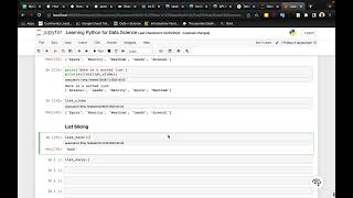 Python List Sorting, Slicing & Copying