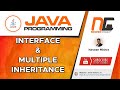Interfaces | Multiple Inheritance In Java | Learn Java Online | Java tutorial for beginners | Day 13