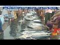 people compete and buy fish in kasimedu fish market chennai sun news