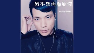 我不想再看到你 (鬼步舞曲版)