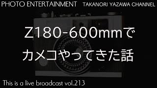 Z 180-600mm f/5.6-6.3 VR Sでチアガールを撮ってきた話