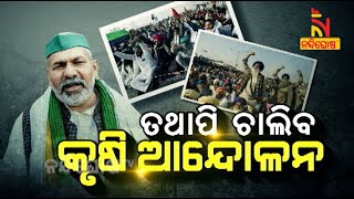 ତଥାପି ଚାଲିବ କୃଷି ଆନ୍ଦୋଳନ | NandighoshaTV