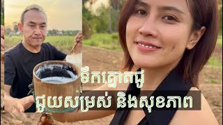 អត្ថប្រយោជន៍ ទឹកត្នោតជូ ជូយដល់សម្រស់ និងសុខភាព