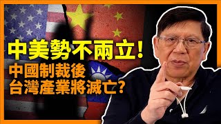 (中字) 中美由合作對勢不兩立！台灣產業鏈要如何部署？中國制裁台灣後石化和機械產業將會滅亡？