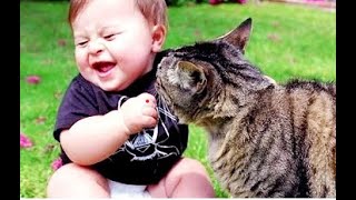 Best Compilation of Funny Moments animals 2024 #new #animal #funny