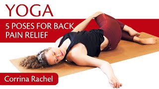 5 Best Yoga Poses for Back Pain Relief! Stretches for Pain, Easy to do, Beginners!