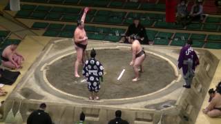 千代の勝-芳東/大相撲.2017.1.19(7)/chiyonokatsu-yoshiazuma/day12 #sumo