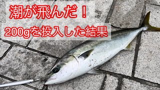 150ｇじゃダメ...200ｇのジグを投入した結果【淡路島翼港ショアジギング】