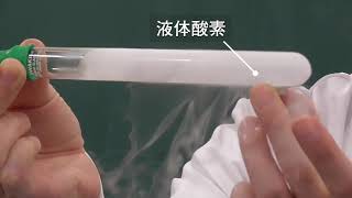 液体窒素の実験