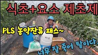 식초+요소 제초제. PLS 잔류 농약 허용기준 피하는 제초제 ~  Making herbicides free of pesticide residues