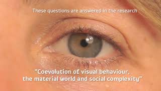 Coevolution of visual behaviour (Eng)