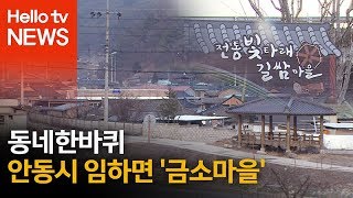 [동네한바퀴]안동시 임하면 '금소마을'