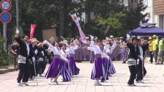 湊や（能登よさこい祭り2014）二日目海岸通り