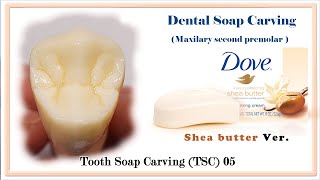 [치위생과, 치기공과] Soap Carving Maxillary Second Premolar [Home Training] (상악 제 2소구치 홈트레이닝) 05 [4K]