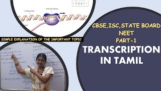 Transcription In Tamil| Class 12| NEET| Transcription Unit| IMPORTANT QUESTIONS DISCUSSED!!🔥🔥