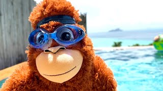 Family Fun Trip with Animals Monkey Island Kids Adventure