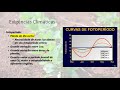 video aula 04 clima e cultivares de soja