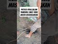 proses pencarian emas tambang emas viral fyp emas tambang