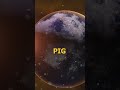 Chinese Horoscope 2023 Pig. Secret Astrology