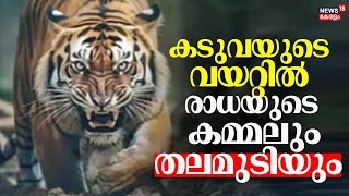 കടുവയുടെ വയറ്റിൽ നിന്നും രാധയുടെ കമ്മലും തലമുടിയും കണ്ടെടുത്തു | Wayand Tiger Attack | Pancharakolly