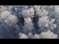 ♫ beautiful winter melody ♫ Зимняя мелодия для души ♫