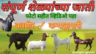 शेळ्यांच्या संपूर्ण जाती | शेळीचे जात प्रकार वैशिष्ट्ये | cast goats animals |