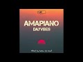 Amapiano Dayvibes Mixed by Kabza de small