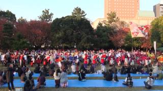 2013おどるんや秋祭り　総踊り　YAPPA紀州