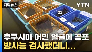 [자막뉴스] '이러다 밥줄 끊길 듯'...후쿠시마 어민들도 '안절부절' / YTN