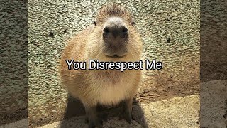 Capybara Godfather meme, You disrespect me 😂