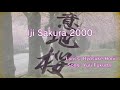 Iji Sakura 2000 Karaoke [Romanji + Translation]