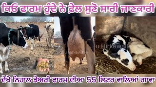 ਕਿਓ ਡੇਅਰੀ ਫਾਰਮ ਹੁੰਦੇ ਨੇ ਫ਼ੇਲ ਦੇਖੋ ਵੀਡੀਓ last ਤੱਕ Nehal Dairy Farm | Sidhu Hirkewalle |