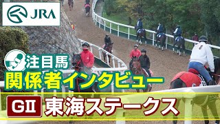 【注目馬 関係者インタビュー】2024年 東海ステークス｜JRA公式