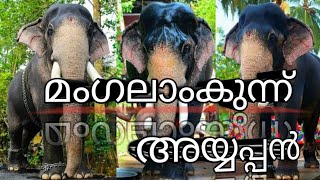 mangalamkunnu ayyappan |മംഗലംകുന്ന് അയ്യപ്പൻ |Ranjuzz kallazhi |രഞ്ജുസ് കല്ലഴി