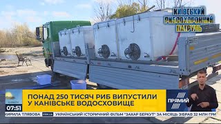 Зариблення Канівського водосховища, Київський рибпатруль, телеканал Прямий