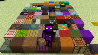 ماینکرافت اما هر بلاکی بزارم رندوم میشه - Minecraft but every block you place is random